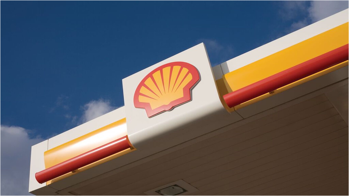 Shell, photographed by a Google contributor