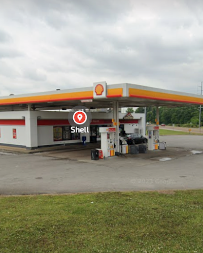 Shell, photographed by a Google contributor