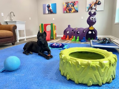 Taylor’s Canine Services, photographed by a Google contributor