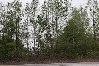 Country View RV Park, photographed by a Google contributor